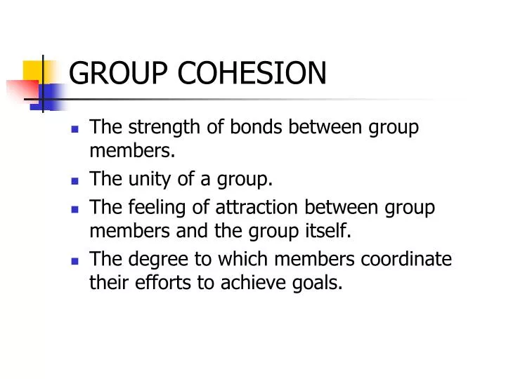 group cohesion
