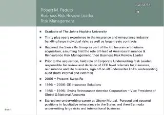 Robert M. Peduto Business Risk Review Leader Risk Management