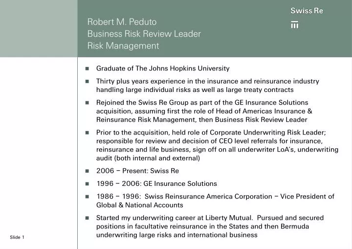 robert m peduto business risk review leader risk management
