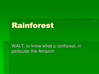 Rainforest