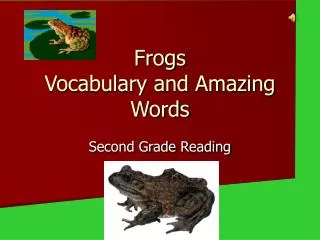 Frogs Vocabulary and Amazing Words