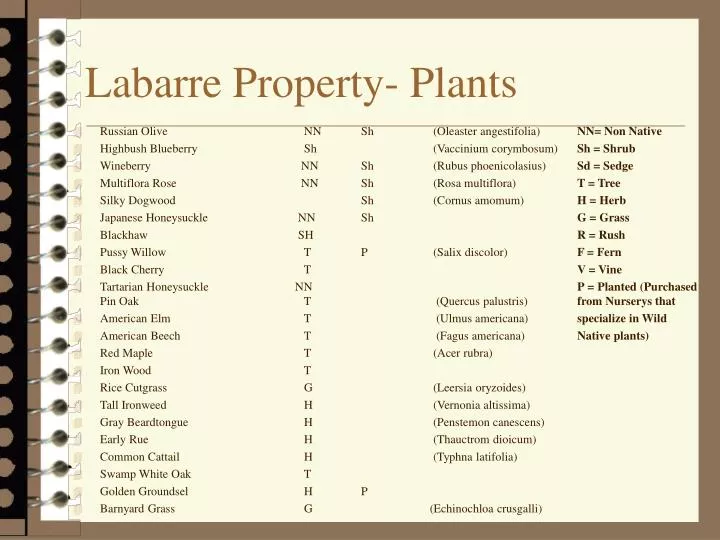 labarre property plants