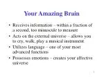 Your Amazing Brain - slide 1