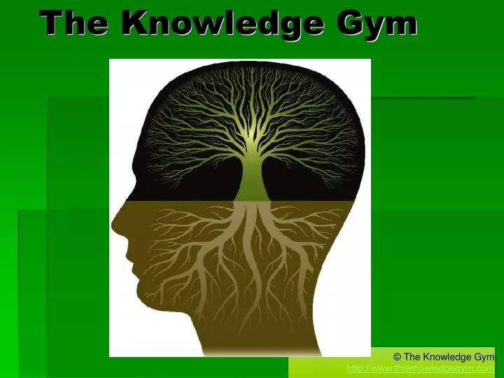 the knowledge gym