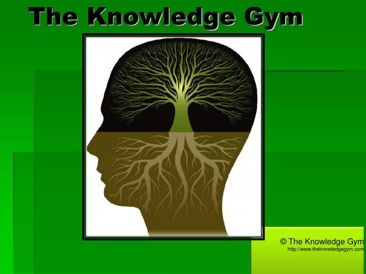 the knowledge gym