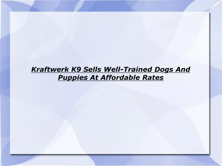 kraftwerk k9 sells well trained dogs and puppies at affordable rates