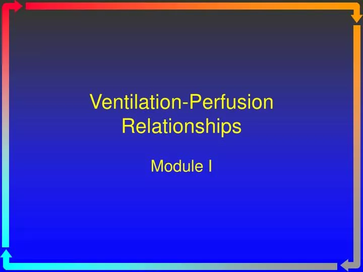 ventilation perfusion relationships