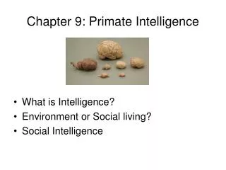Chapter 9: Primate Intelligence