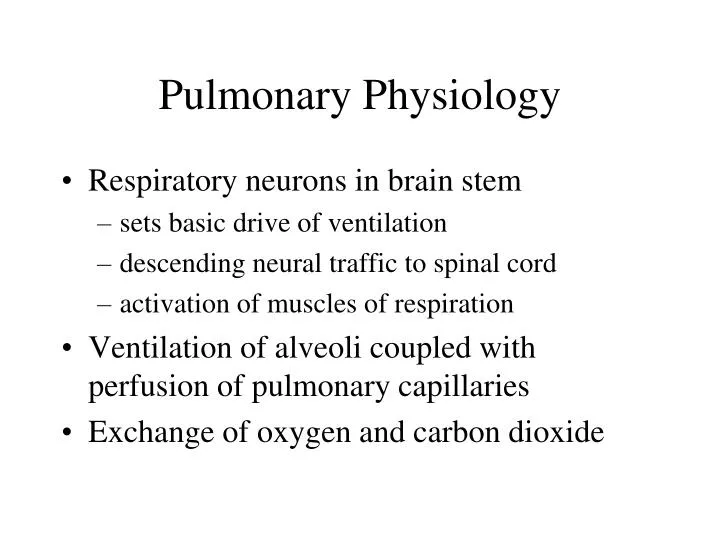 pulmonary physiology