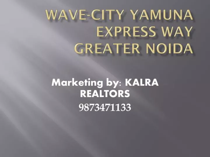 wave city yamuna express way greater noida