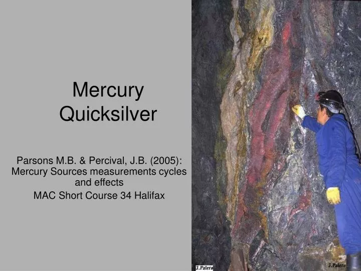mercury quicksilver
