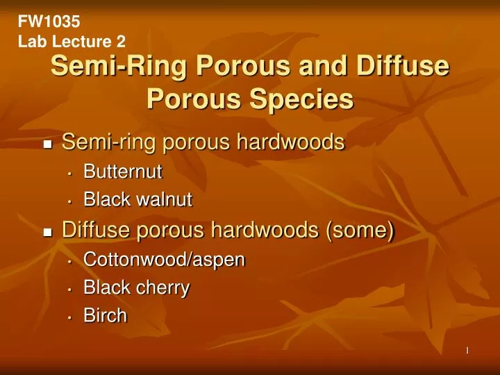 semi ring porous and diffuse porous species