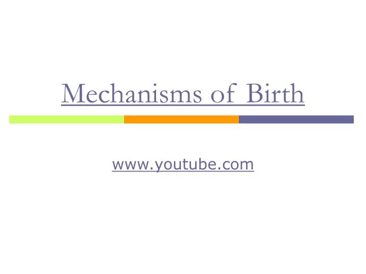 mechanisms of birth