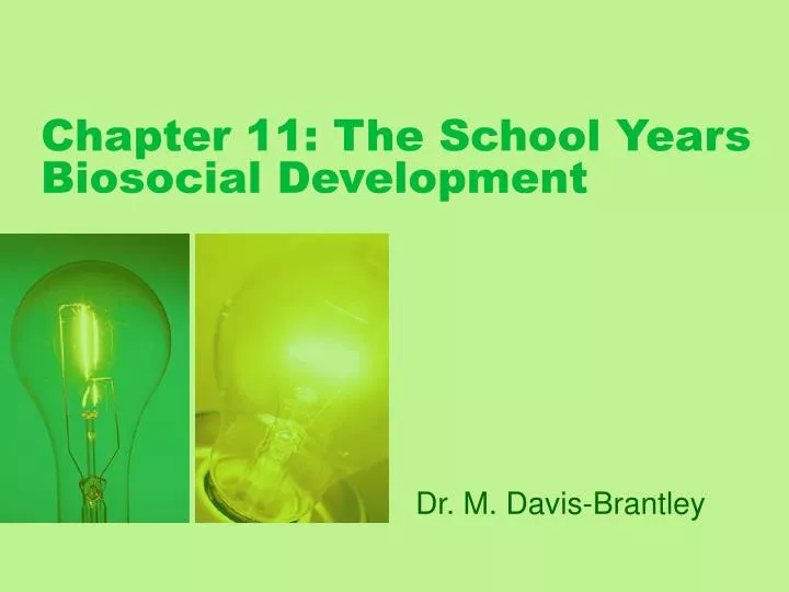 chapter 11 the school years biosocial development