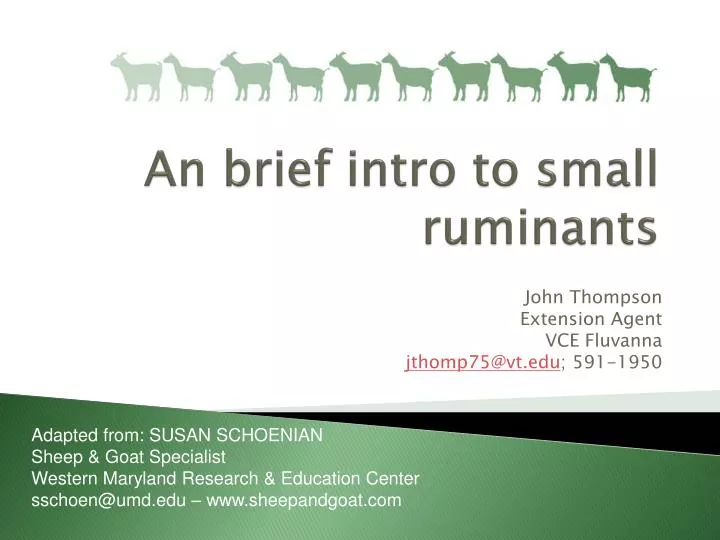 an brief intro to small ruminants