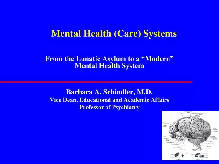 mental health care systems