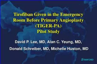Tirofiban Given in the Emergency Room Before Primary Angioplasty (TIGER-PA) Pilot Study