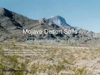Mojave Desert Soils