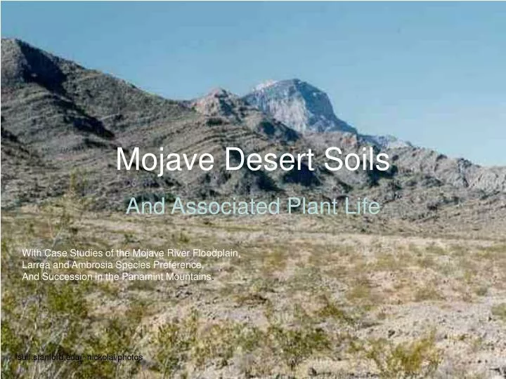 mojave desert soils