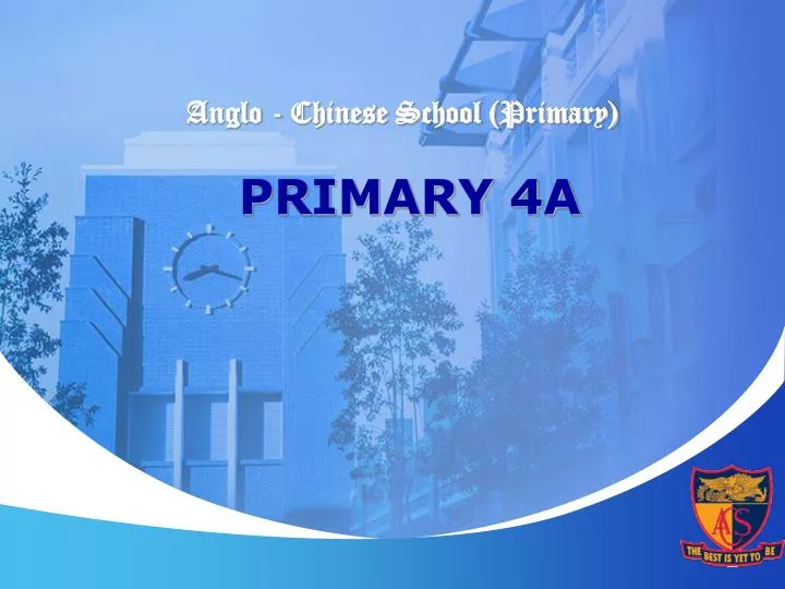 anglo chinese school primary primary 4a