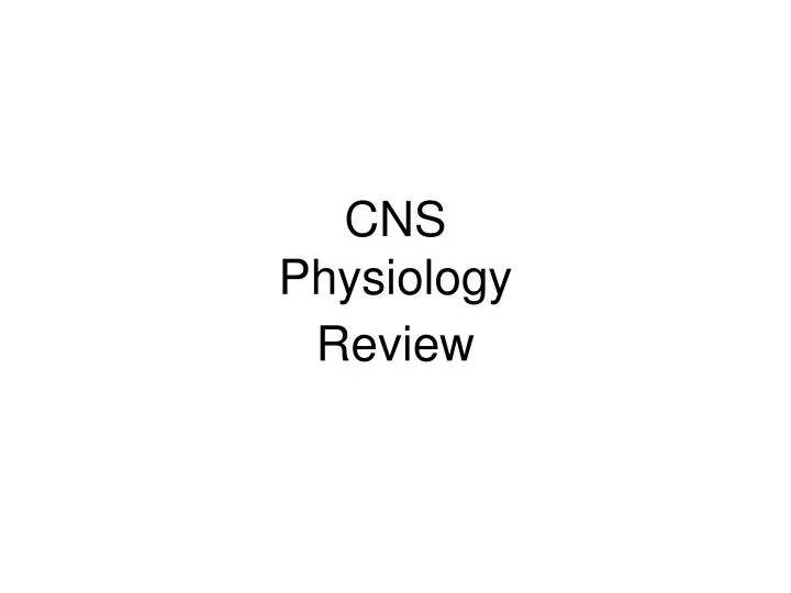 cns physiology