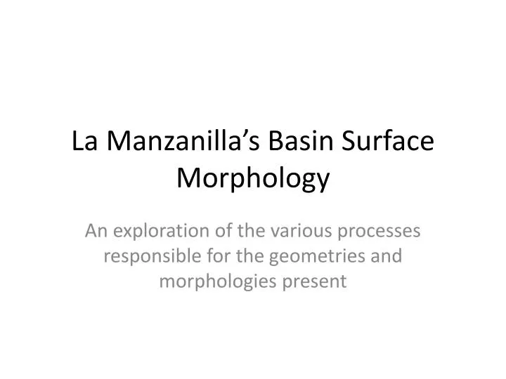 la manzanilla s basin surface morphology