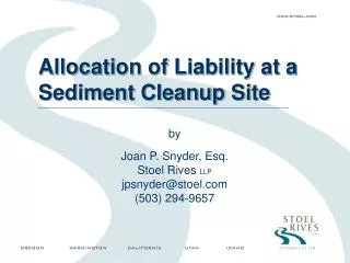 Allocation of Liability at a Sediment Cleanup Site