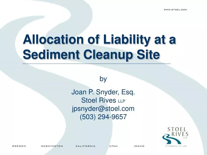 allocation of liability at a sediment cleanup site