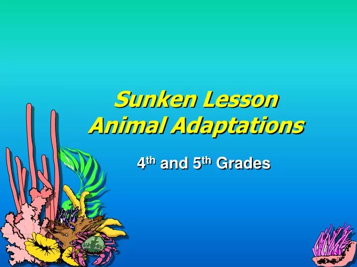 sunken lesson animal adaptations