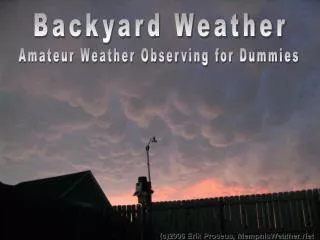 Backyard Weather