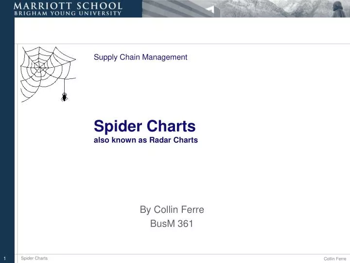 supply chain management spider charts also known as radar charts