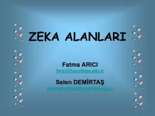 zeka alanlari