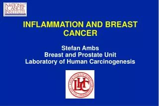 INFLAMMATION AND BREAST CANCER