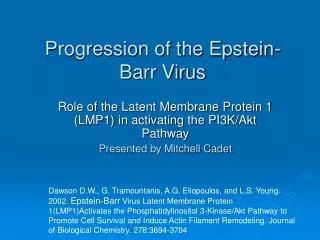 Progression of the Epstein-Barr Virus