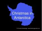 Christmas in Antarctica