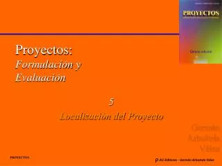 proyectos formulaci n y evaluaci n