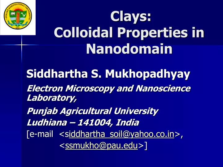 clays colloidal properties in nanodomain