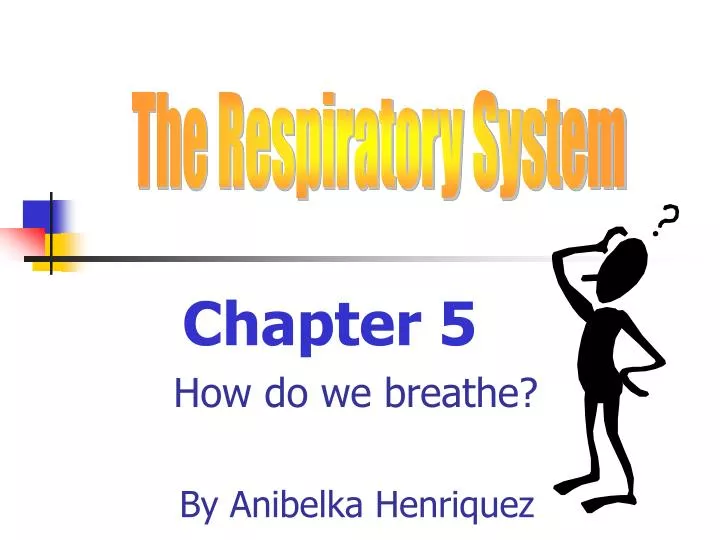 chapter 5 how do we breathe by anibelka henriquez