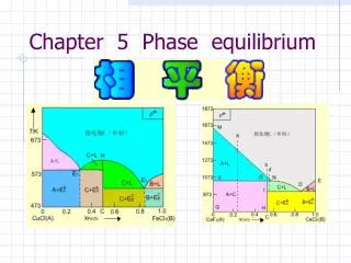 Chapter 5 Phase equilibrium