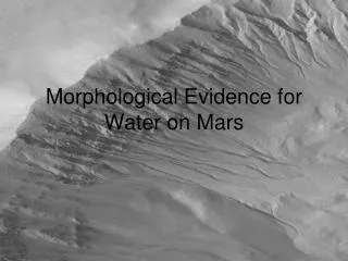 Morphological Evidence for Water on Mars