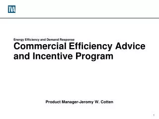 Energy Efficiency and Demand Response Commercial Efficiency Advice and Incentive Program