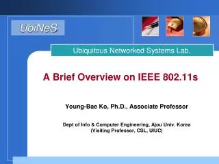 A Brief Overview on IEEE 802.11s