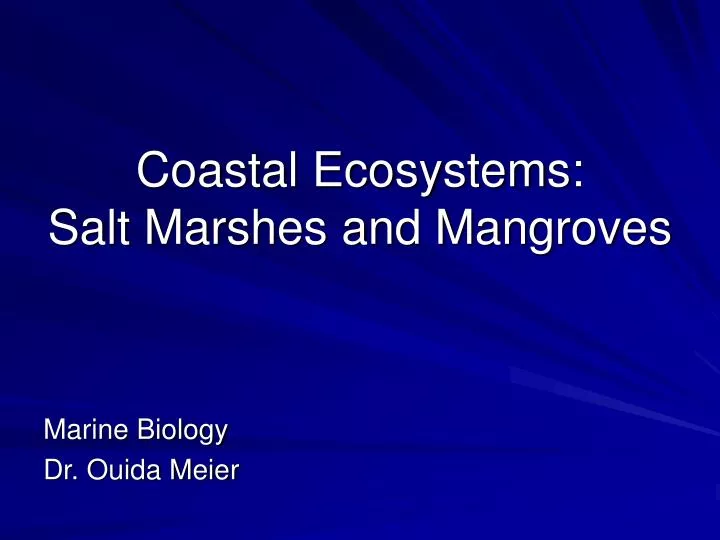coastal ecosystems salt marshes and mangroves