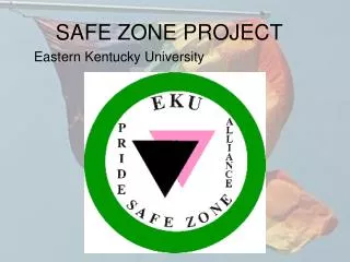 SAFE ZONE PROJECT