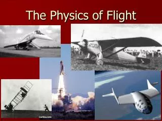 The Physics of Flight