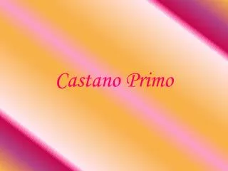 Castano Primo