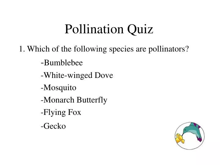pollination quiz