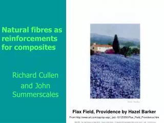 Natural fibres as reinforcements for composites