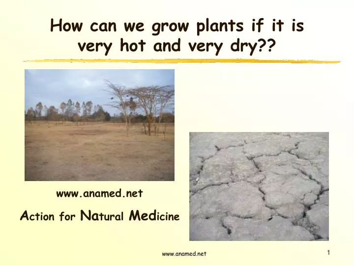 how can we grow plants if it is very hot and very dry