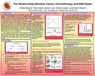 The Relationships Between Cancer, Chemotherapy, and DNA Repair Shelly Beard, Fred Caton, Sarah Ivan, Edra London, and Ka